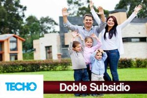 Subsidios-del-Gobierno1