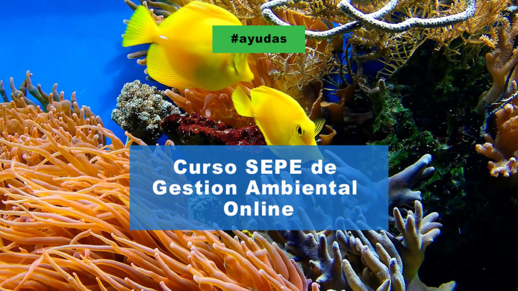 Curso SEPE de gestión ambiental online